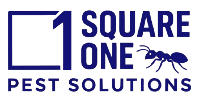 Square One Pest Solutions